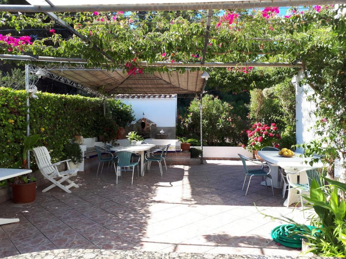 Villa Paradise Private Pool And Garden In A Natural Park For 9 Javea Exterior photo